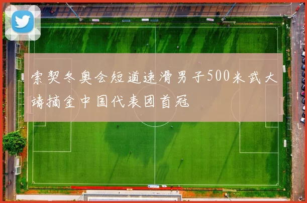 索契冬奥会短道速滑男子500米武大靖摘金中国代表团首冠