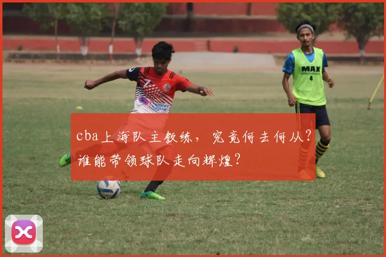 cba上海队主教练，究竟何去何从？谁能带领球队走向辉煌？